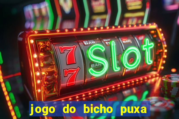 jogo do bicho puxa de dona maria